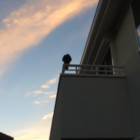 オーバーヘッドキャッチ(^-^)/の画像