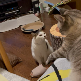 おはようございますの画像