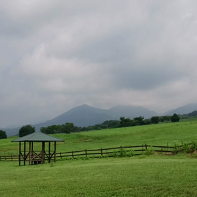 旅むーびーの画像