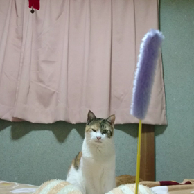 飽きたらお手伝いの画像