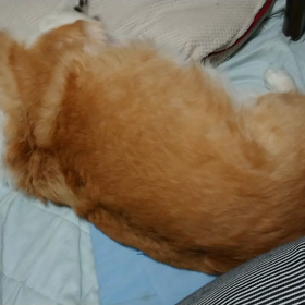 してやったり！！の画像