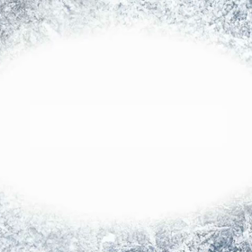 犬と散歩の画像