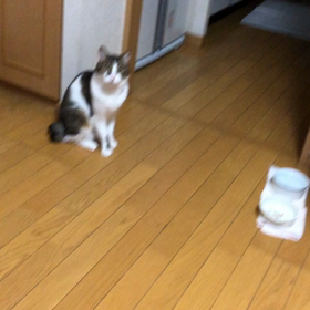 自主トレに有効なマシーンは？明日デールはいくつ？の画像