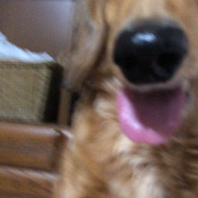 ウイルてんかん2度目動画2の画像