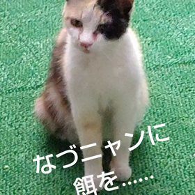 wなづニャンに餌を……の画像