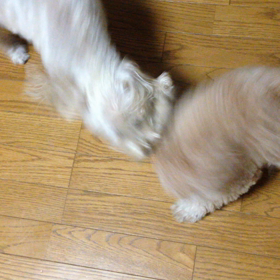 CSチケットありがとうを表現してみましたの画像