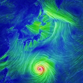 ハギビスの画像