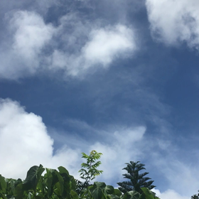 慰霊の日。の画像