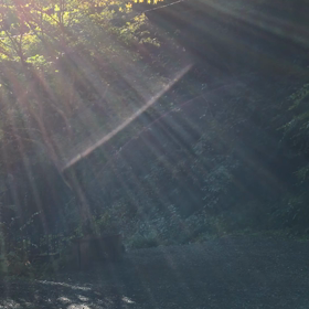 鍾乳洞周り 動画その2の画像