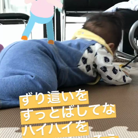 【5m17d】ずりばいスキップしてハイハイ疑惑の画像