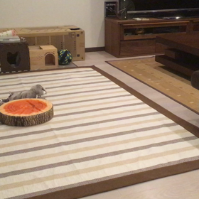 美味しい物ですか？の画像