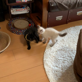 距離感に劇的変化。の画像