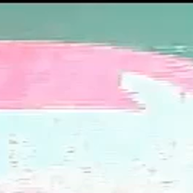 ふん放置！Σ('◉⌓◉’)青いリードの画像