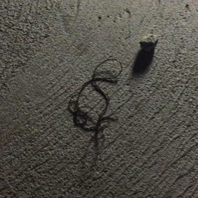 メリークリスマス！！の画像