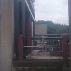 地上最大ワ～イルドラ～イフ∟(￣(工)￣)ノ！の画像