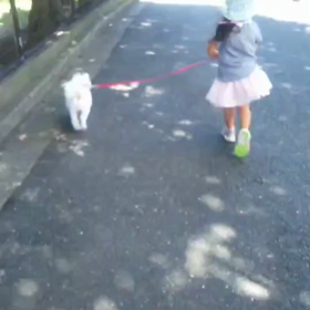 おもいでの画像