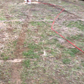 1月3日  暗くなるまでの画像