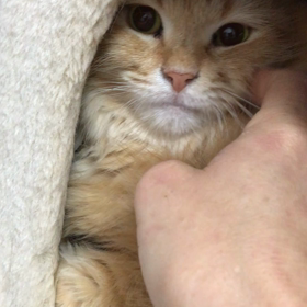 いざ！石川県金沢へ！の画像