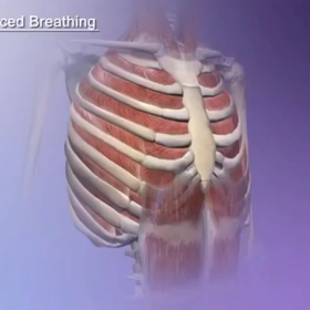 深呼吸をしましょう(*ﾟ.ﾟ)ゞの画像