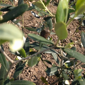 天敵⁉︎の俊敏な動き♪の画像