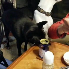 くずきり大好き姉弟の画像