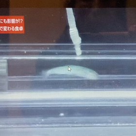 魚も筋トレの画像