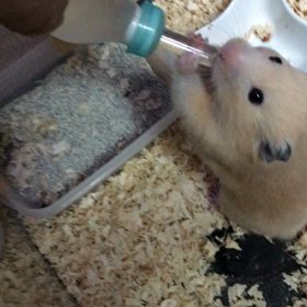 水分補給の画像