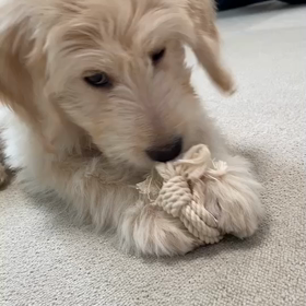 お客さまの画像