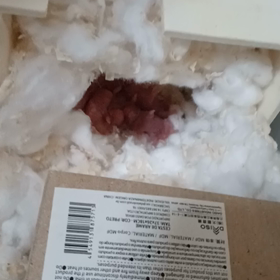 またまた久しぶりの投稿で。。。の画像