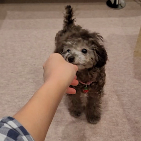 おすわり 2022/03/07の画像