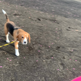 電池切れの画像