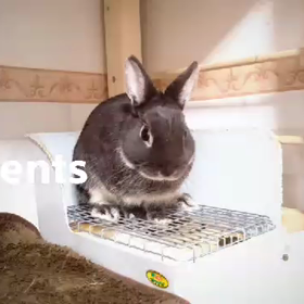 Movie Creator♪の画像