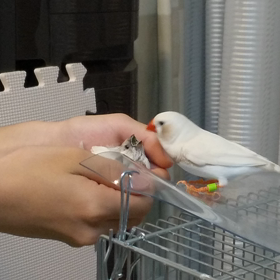 イクメン蓬 ②の画像