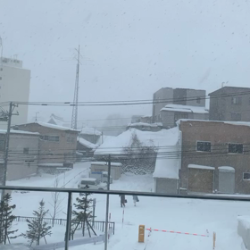 今日、循環器内科の日の画像