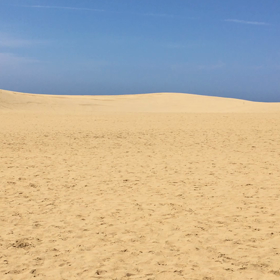 鳥取砂丘の画像