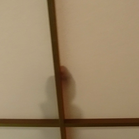 な〜んだ、お父さんかの画像