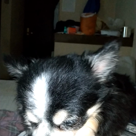 なぁーにしているの❓️の画像