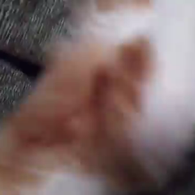 お返事します☆の画像