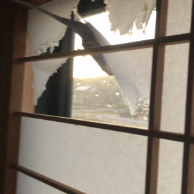 誰だ〜(´･_･`)だんだん大きくなっていく…….の画像