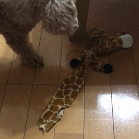 わがまま？の画像