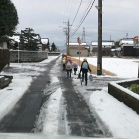 1/28やっぱり雪降りましたの画像