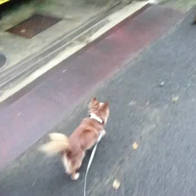 一応挨拶しとくかな 2の画像