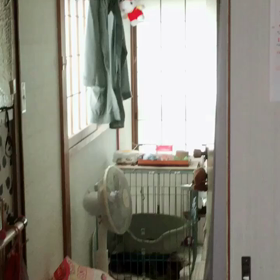 レオンちゃんの画像