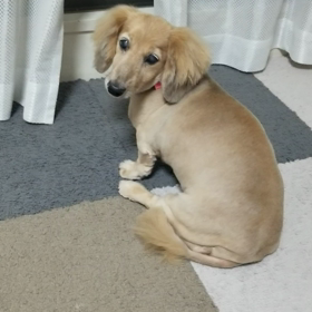 良い日でしたの画像