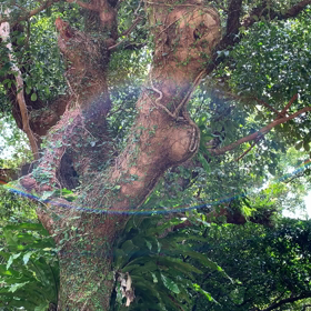 新しい自分。の画像