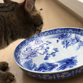 あうの お皿での画像