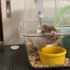 ちょっとだけ頑張る！の画像