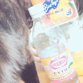 学年末テスト勉強中の二女の画像