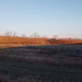 冷えましたねの画像