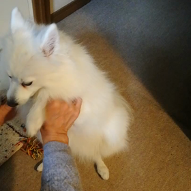 ダンスする気力はありません。の画像